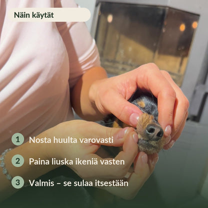 FreshLicks-hammashoitoliuskat koirille