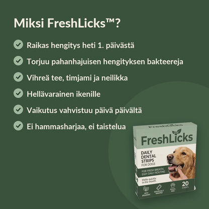 FreshLicks-hammashoitoliuskat koirille