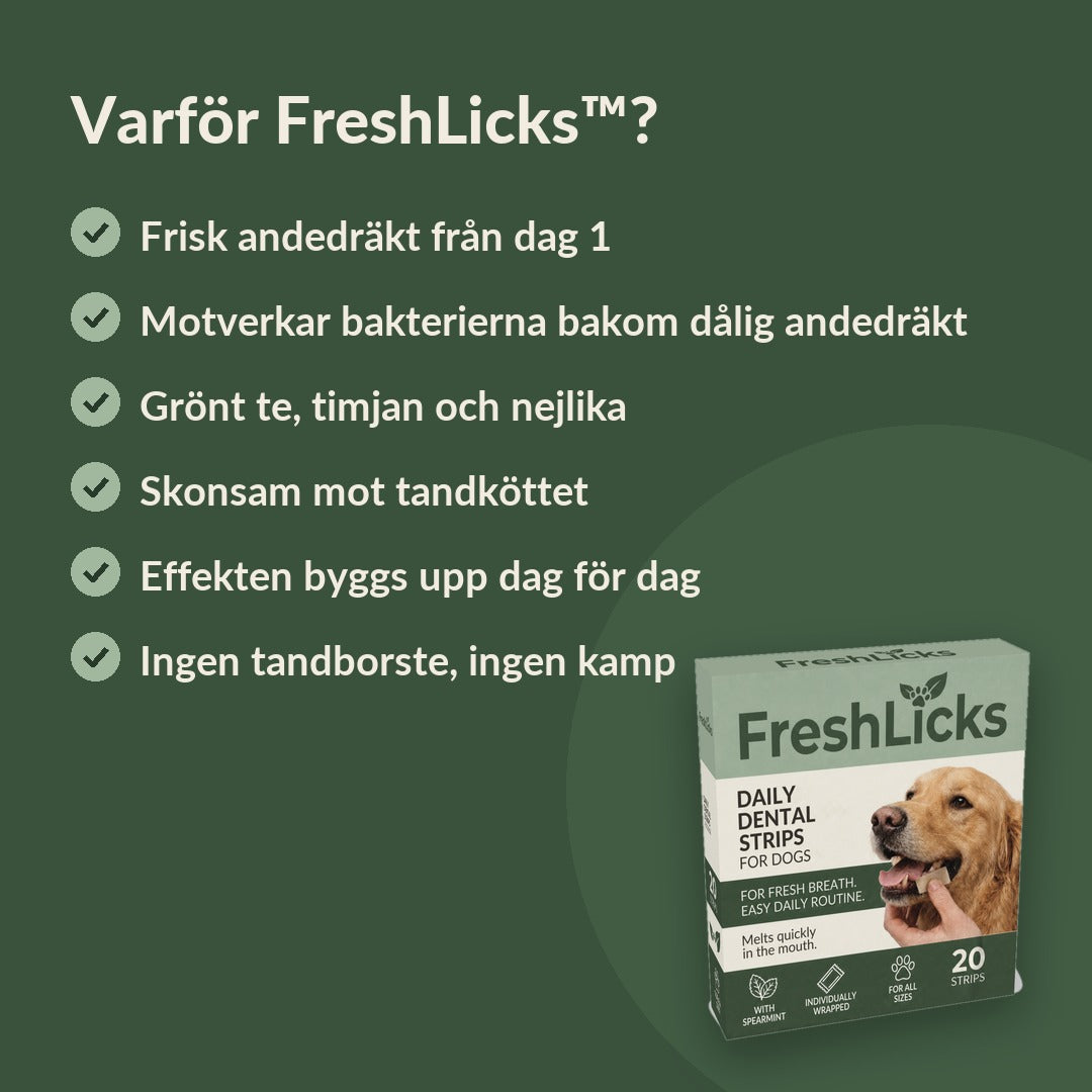 FreshLicks tandvårdsstrips för hund