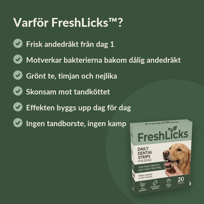FreshLicks tandvårdsstrips för hund