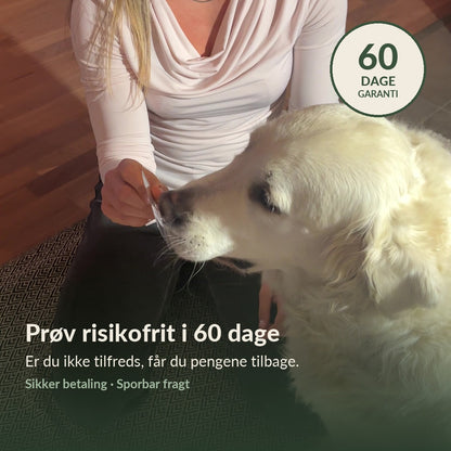 FreshLicks tandpleje-strips til hunde