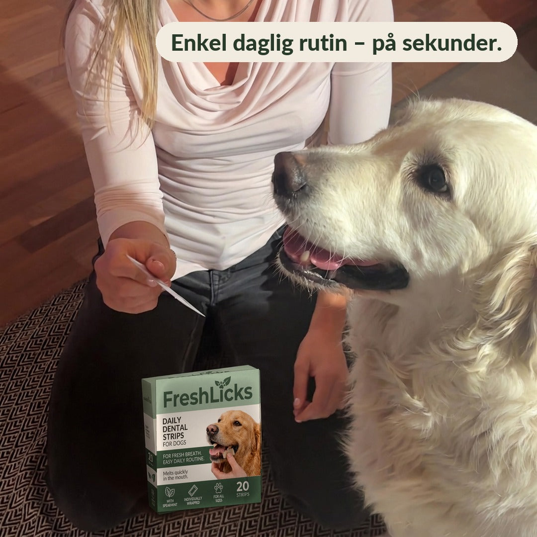 FreshLicks tandvårdsstrips för hund