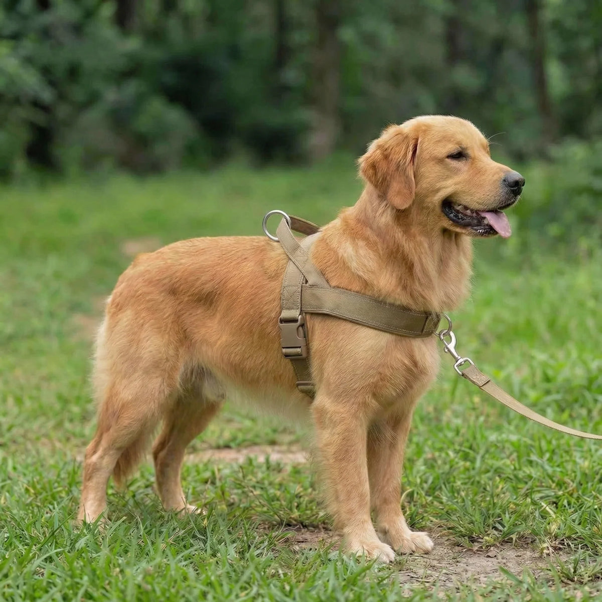 AntiDrag Hundesele