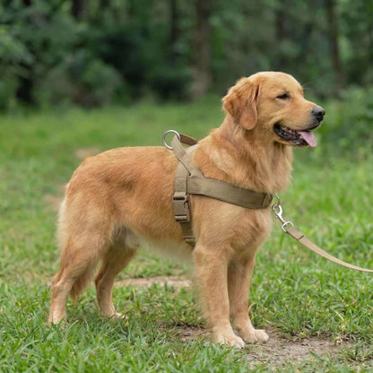 AntiDrag Hundesele