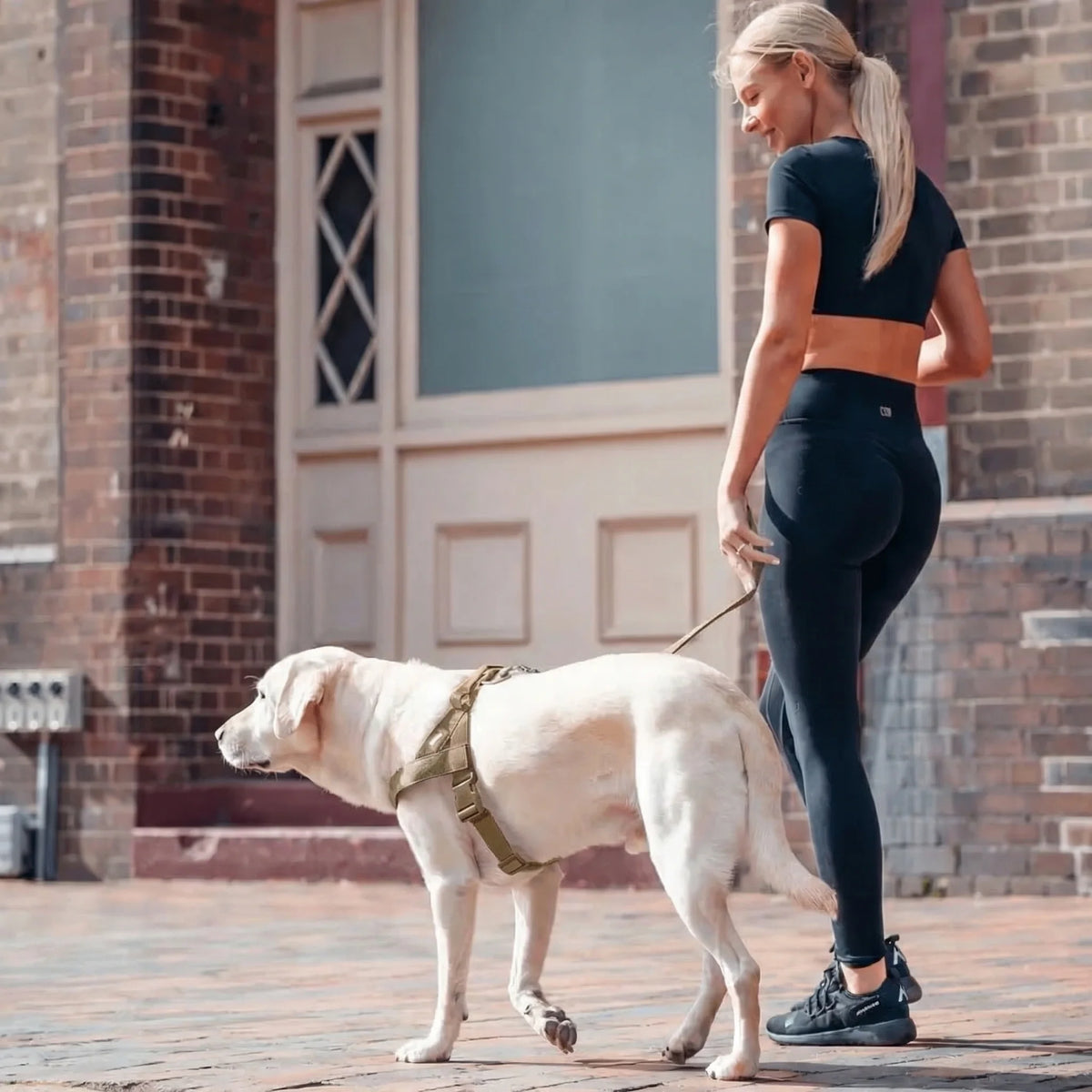 AntiDrag Hundesele